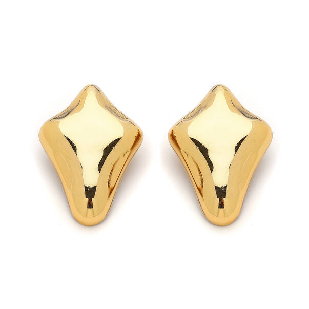 Acrux Gold Plated Pinned Earrings - 1