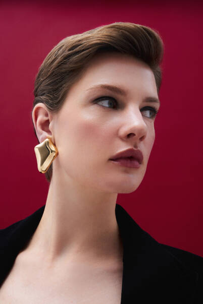 Acrux Gold Plated Pinned Earrings - 1