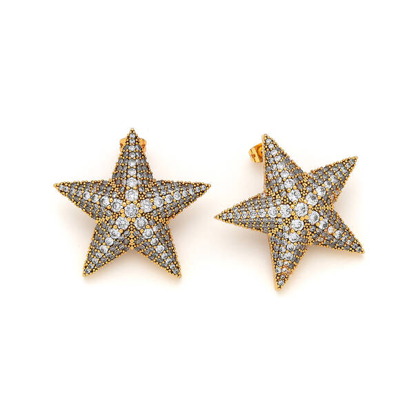 Algedi Zircon Gold Plated Star Pinned Earrings - 1