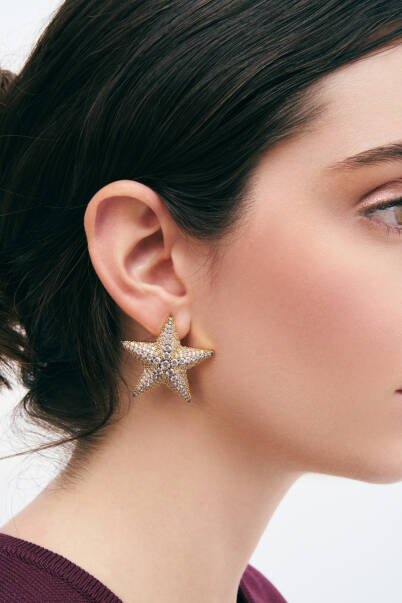 Algedi Zircon Gold Plated Star Pinned Earrings - 4