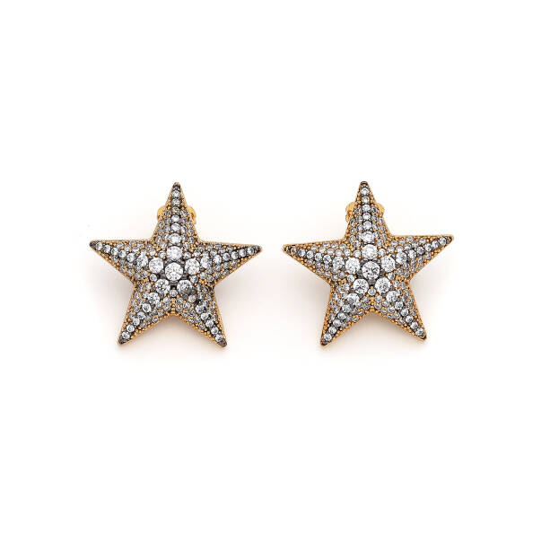 Angelina Gold Plated Zircon Star Charm Pinned Earrings - 1