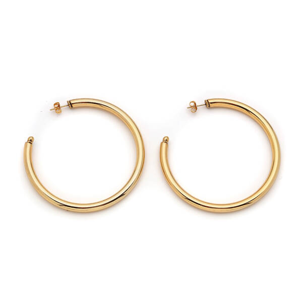 Aysha Gold Plated Hoop Pinned Earrings - 1