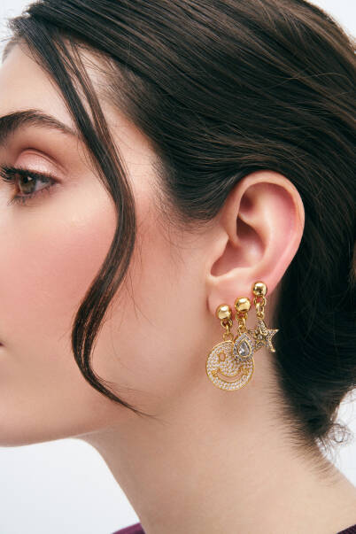 Brie Gold plated Multi Charm Pinned Earrings - 2