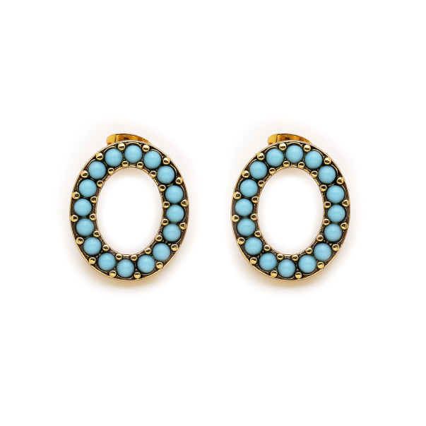 Circled Around Gold Plated Pinned Earrings - 1