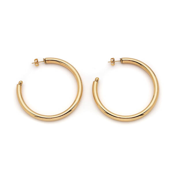 Dezzla Gold Plated Hoop Pinned Earrings - 1