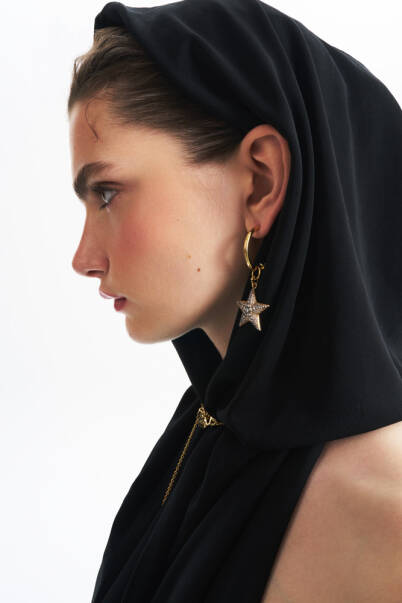 Elizabeth Gold Plated Star Zircon Charm Pinned Earrings - 2