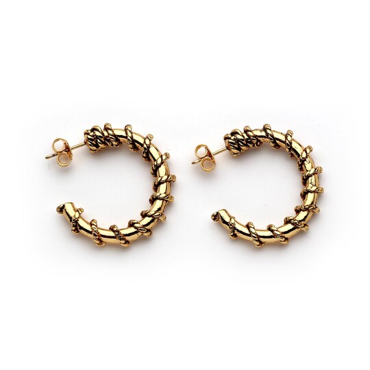 Fallow The Feeling Gold Plated Hoop Pinned Earrings - 
