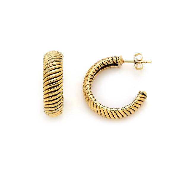 Golden Horizon Altın Kaplama Halka İğneli Küpe - 1