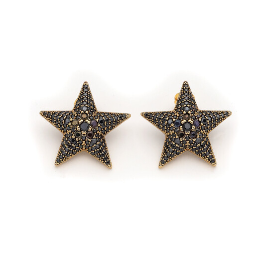 İsla Gold Plated Star Zircon Pinned Earrings 