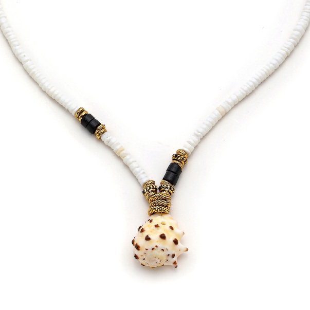 Fine Shell - 3