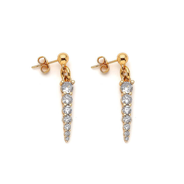 Orenda Zircon Gold Plated Charm Pierced Earrings - 1