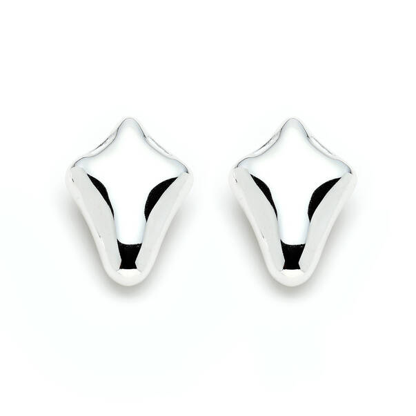 Radiant Silver Plated Pinned Earrings - 2