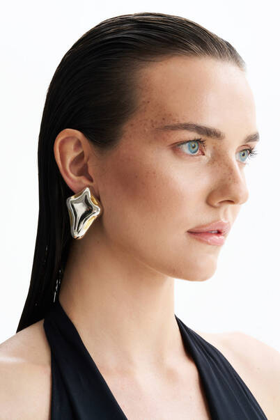 Radiant Silver Plated Pinned Earrings - 1