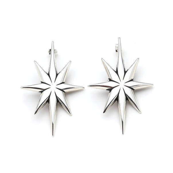 Starlight Silver Plated Star Pinned Earrings - 1
