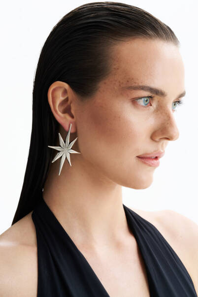 Starlight Silver Plated Star Pinned Earrings - 3