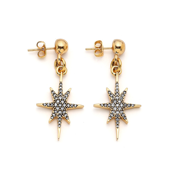 Sunset Gold Plated Star Charm Pinned Earrings - 1