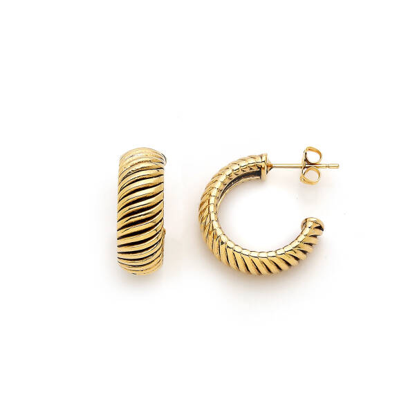 Timeless Gold Plated Hoop Pinned Earrings - 1